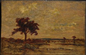 Bažiny, nedatováno (olej na dřevěné desce) od Theodore Rousseau