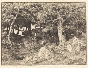 Rock Oaks od Theodore Rousseau
