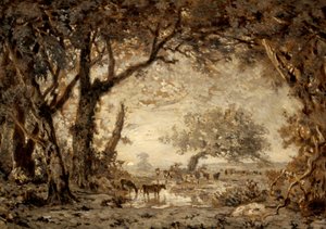 Západ slunce z lesa Fontainebleau