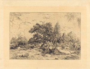 Pohled na Plateau de Bellecroix od Theodore Rousseau