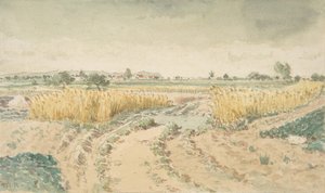 Wheatfields, 1865. od Theodore Rousseau