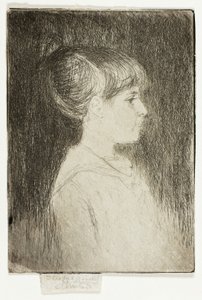 Jeanette, červen 1887