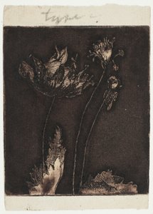 Poslední máky od Theodore Roussel