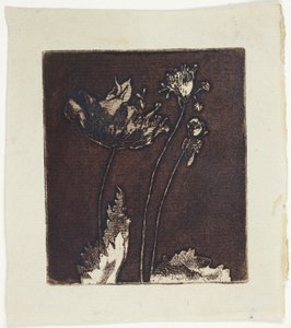 Poslední máky od Theodore Roussel