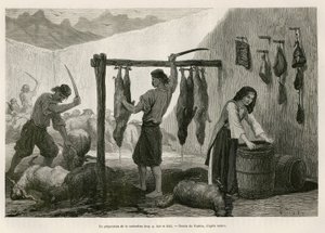 Příprava kastradiny, speciality z ovčího a kozího masa nasoleného a bukanského, koncem října v Dalmácii (Istrie a Hercegovina (Chorvatsko)), kresba Valerio, pro ilustraci cesty do Černé Hory v roce 1874 od Charlese Yriarte