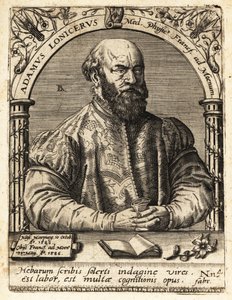 Adam Lonicer nebo Lonitzer od Theodore de Bry