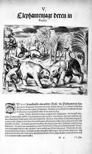 Boj slonů, 1606 od Theodore de Bry