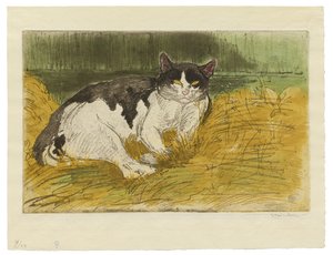 Stará černá a bílá kočka v trávě od Théophile Alexandre Steinlen