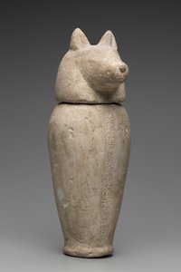 Canopic Jar se Šakalí hlavou (vápenec) od Third Intermediate Period Egyptian