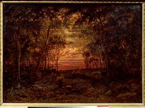 Západ slunce v lese Obraz Theodora Rousseaua (1812-1867) Barbizonská škola z 19. století. Ztlumit. 0,46x0,62m. Olej na plátně. .