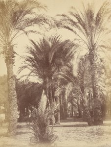 Gous od Théodule Devéria