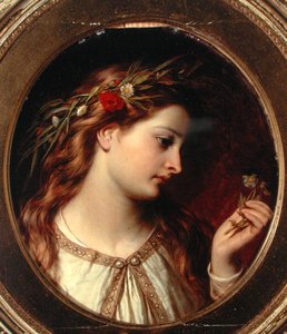 Miranda (olej na palubě)