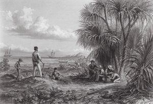 Austrálie: Tábor objevitelů (rytina) od Thomas (after) Baines