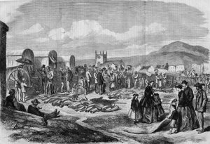 Trh se slonovinou a kůžemi v Grahamstown, Albánie, Cape Colony od Thomas (after) Baines