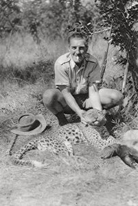 Chaplin Court Treatts leopard, Abercorn do Tukuyu, Tanganika, 1925 1927 od Thomas A. Glover