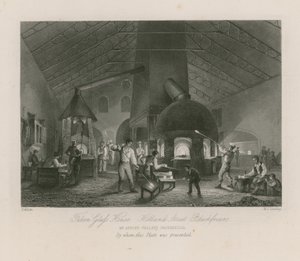 Falcon Glass House od Thomas Allom