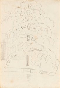 Studie stromu nad vodou (verso) od Thomas Baxter