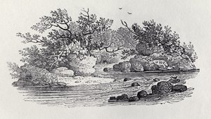 A Bend in the River z „History of British Birds, Volume 2: Water Birds“, 1804