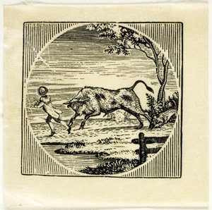 Knižní Ilustrace od Thomas Bewick