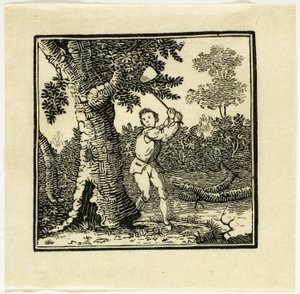 Knižní Ilustrace od Thomas Bewick