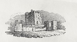 Zřícenina hradu z „Historie britských ptáků a čtyřnožců“ od Thomas Bewick