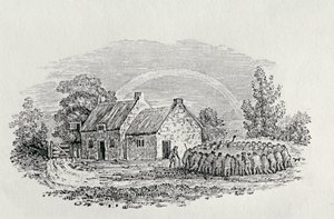 Cockfight Outside an Inn, c.1801, z 