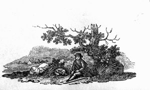 Muž sedící u zakrslého stromu z „Historie britských ptáků a čtyřnožců“ od Thomas Bewick