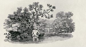 Hraní lososa z „Historie britských ptáků a čtyřnožců“ od Thomas Bewick