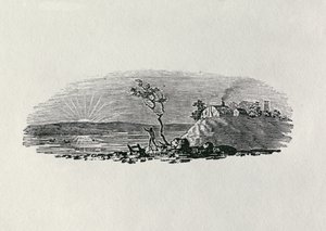 Zimní západ slunce z „History of British Birds and Quadrupeds“ (č. rytina) od Thomas Bewick