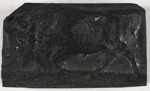 Woodblock pro Urus nebo Divokého býka, z Obecné historie čtyřnožců od Thomas Bewick