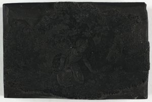Woodblock pro ženu sbírající květiny od Thomas Bewick