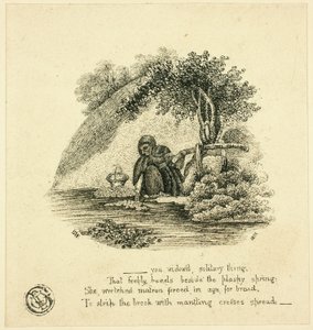 ...ty vdova samotářko od Thomas Bewick