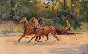 Klusácký pár Waltera Winanse, 1900 c1910