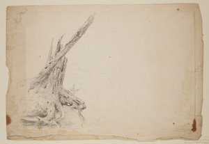 Zlomený kmen stromu (tužka na papíře) od Thomas Cole