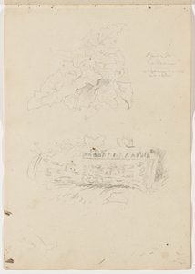 Rostlina v Koloseu; architektonický fragment od Thomas Cole