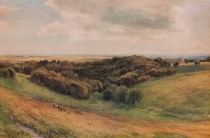 Arundel Park, 1874 od Thomas Collier