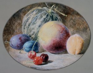 Ovoce, 19. století