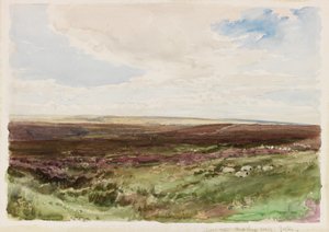 Moorland poblíž Hart Leap Well, Yorkshire (akvarel na papíře) od Thomas Collier