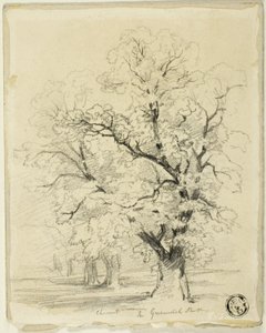 Ches[t]nut v Greenwichském parku od Thomas Creswick