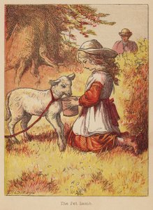 Beránek (kolorovaná rytina)