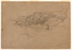 Studie z přírody od Thomas Doughty