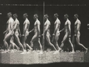 [Muž chodící, stroboskopická fotografie], 80. léta 19. století, tištěná 30.–40. léta 19. století, 80. léta 19. století, tištěná 30.–40. od Thomas Eakins