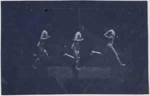 Marey Wheel Fotografie George Reynoldse, c. 1884. od Thomas Eakins
