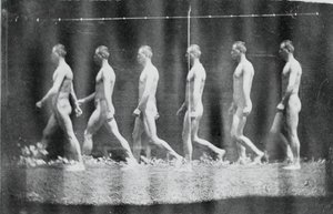 Marey Wheel Fotografie Jesse Godley, 1884. od Thomas Eakins