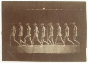 Fotografie Marey Wheel of Unidentified Model, 1884. od Thomas Eakins