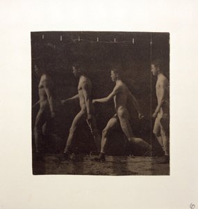 Fotografie Marey Wheel of Unidentified Model, c. 1884. od Thomas Eakins