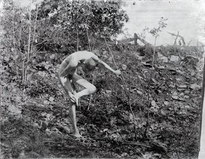 Trn Puller, c. 1883. od Thomas Eakins