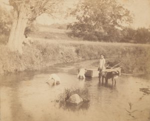 [Tři děti a pes si hrají v potoce, 4. července 1883], 1883., 1883. od Thomas Eakins