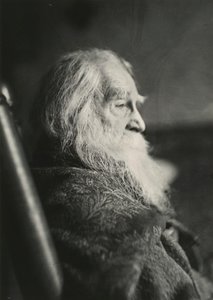 Walt Whitman v Camdenu, NJ, c. 1891. od Thomas Eakins