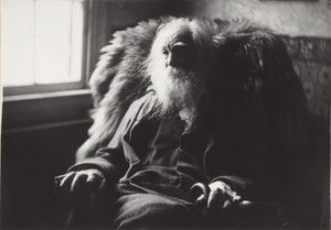 Walt Whitman v Camden, NJ, c. 1891. od Thomas Eakins